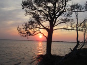 Assateague Island National Seashore