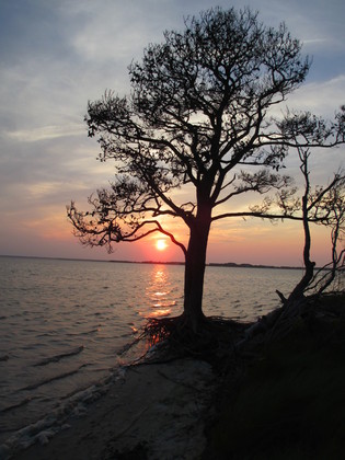 Assateague Island National Seashore