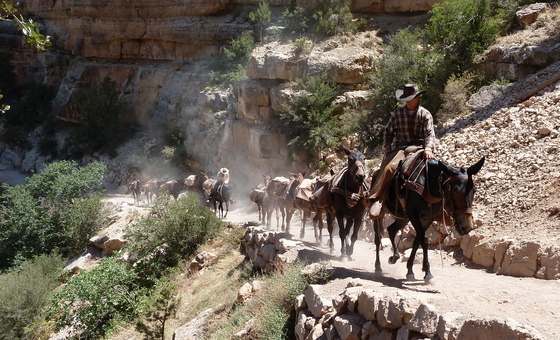 Grand Canyon