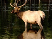 Rocky Mountain National Park
