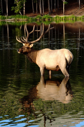 Rocky Mountain National Park