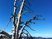 Crater Lake National Park