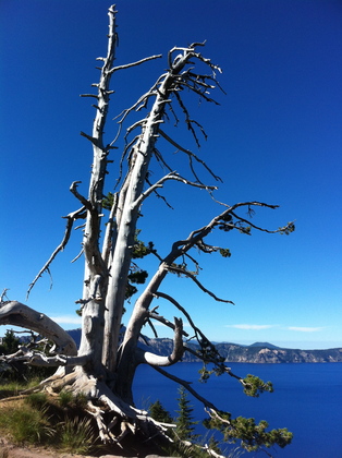 Crater Lake National Park