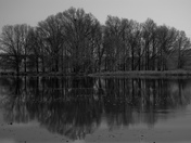 John Heinz Wildlife Refuge