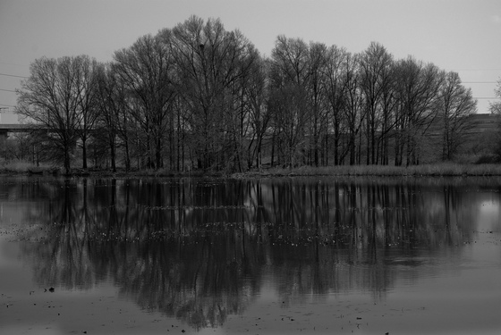 John Heinz Wildlife Refuge