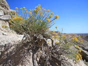 Badlands National Park