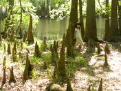 Congaree
