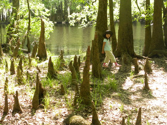 Congaree