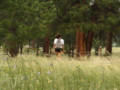 Rocky National Park