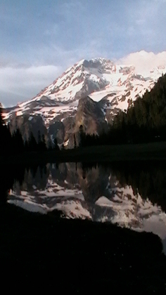 Mt. Rainier