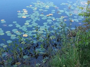 Oswegatchie River