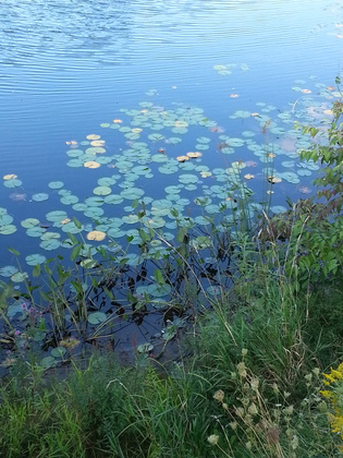 Oswegatchie River