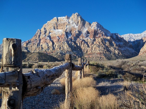 Red Rock Canyon National Conservation Area