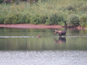 Glacier National Park