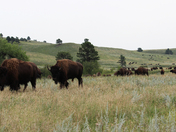 Custer National Park