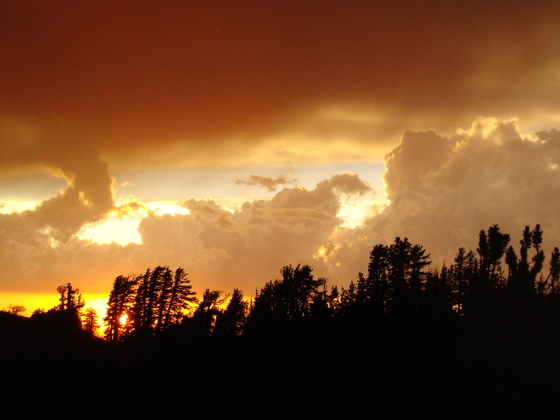 Mount Rose Wilderness 