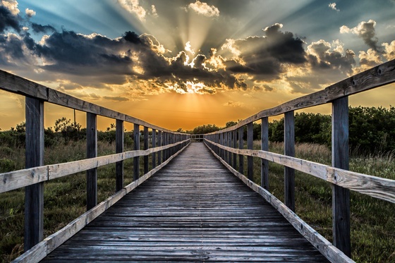 Back Bay National Wildlife Refuge