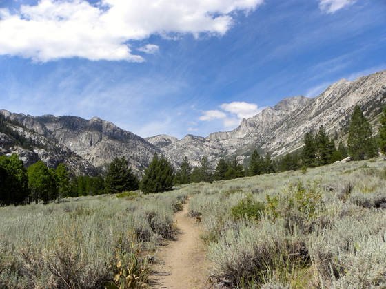 Hoover Wilderness
