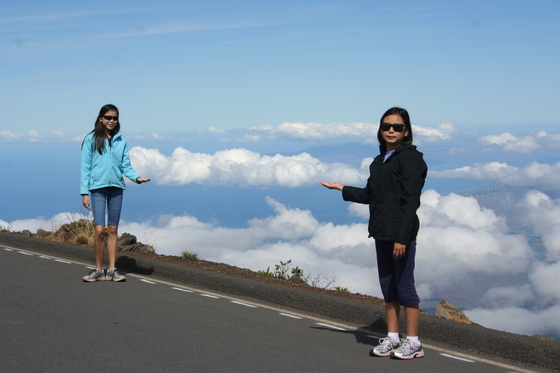 HaleakalÄ National Park
