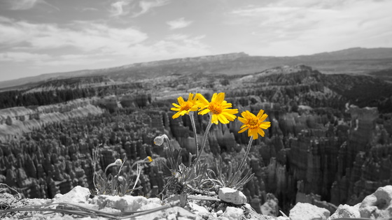 Bryce Canyon National Park