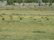 Yellowstone National  Park