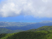 El Yunque National FOrest