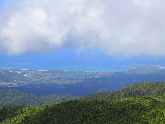 El Yunque National FOrest