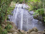 El Yunque National Forest
