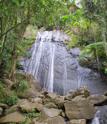 El Yunque National Forest