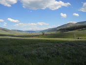 Yellowstone National Park