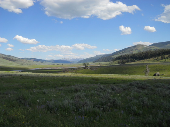 Yellowstone National Park