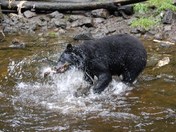 Sitka National Historic Park Alaska