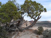 Dinosaur National Monument