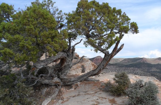 Dinosaur National Monument