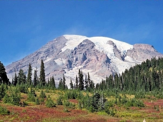 Mt. Rainier National Park