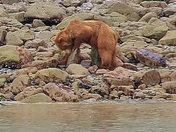 Glacier Bay National Park 