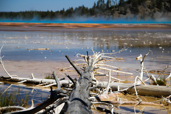 Yellowstone National Park