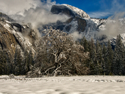 Yosemite National Park