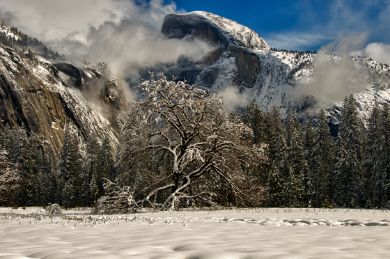 Yosemite National Park