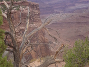 Canyonlands National Park, Moab, UT