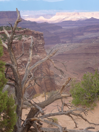 Canyonlands National Park, Moab, UT