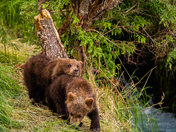 Katmai National Park