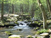 Great Smoky Mountain National Park