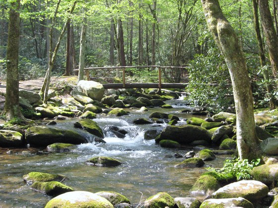 Great Smoky Mountain National Park