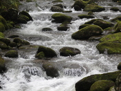 Great Smoky Mountains