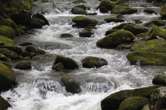 Great Smoky Mountains