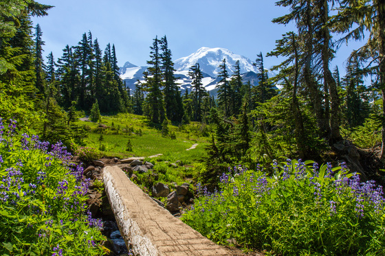 Mount Rainier National Park