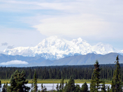 Denali National Park