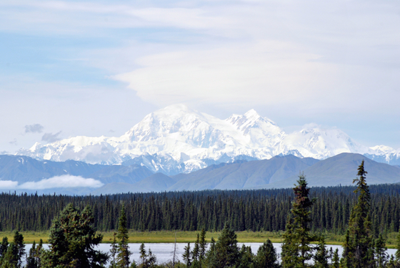 Denali National Park