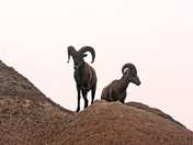 Badlands National Park 
